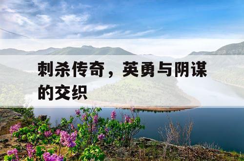 刺杀传奇，英勇与阴谋的交织