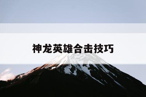 神龙英雄合击技巧