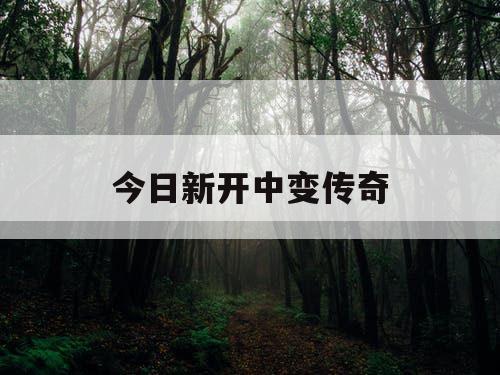 今日新开中变传奇