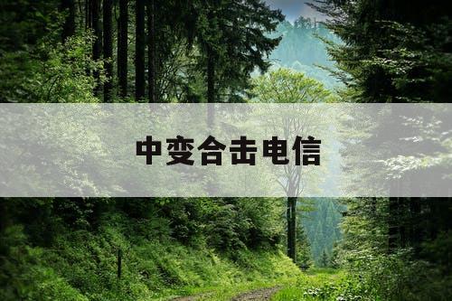 中变合击电信
