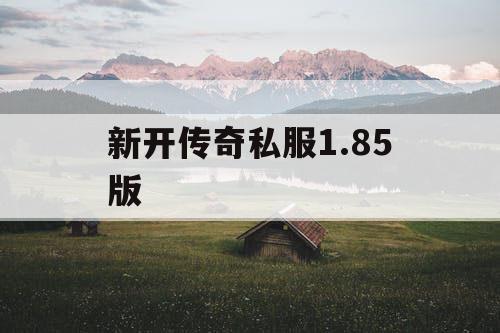 新开传奇私服1.85版