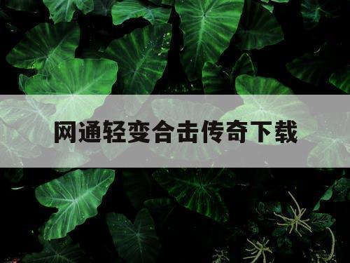 网通轻变合击传奇下载