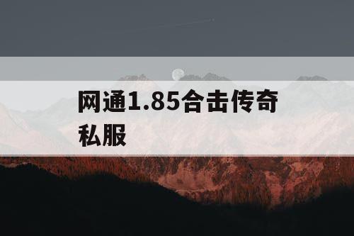 网通1.85合击传奇私服