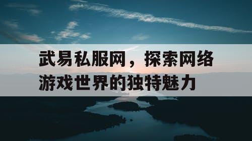 武易私服网，探索网络游戏世界的独特魅力