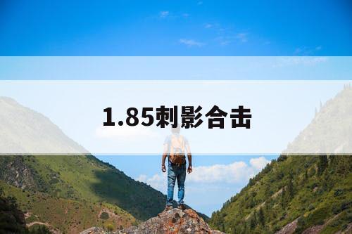 1.85刺影合击