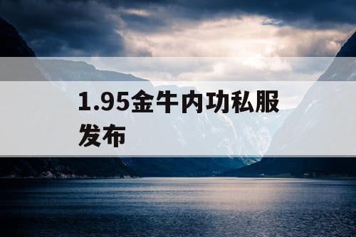 1.95金牛内功私服发布