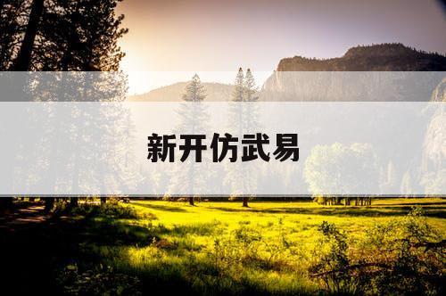 新开仿武易