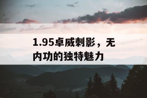 1.95卓威刺影，无内功的独特魅力