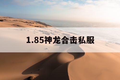 1.85神龙合击私服