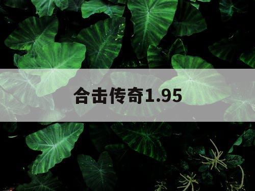 合击传奇1.95