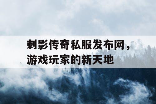 刺影传奇私服发布网，游戏玩家的新天地