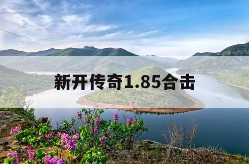 新开传奇1.85合击