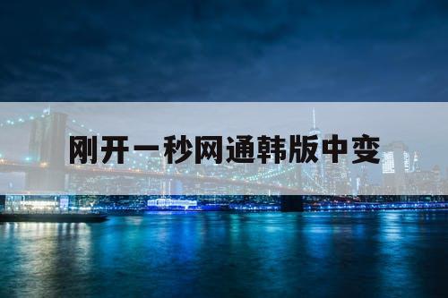 刚开一秒网通韩版中变