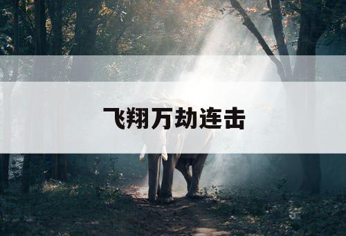 飞翔万劫连击