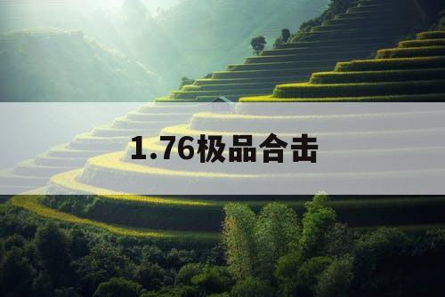 1.76极品合击