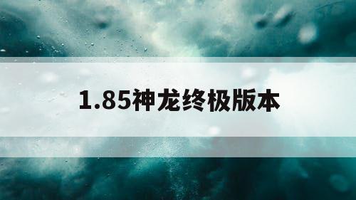 1.85神龙终极版本