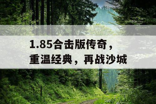 1.85合击版传奇，重温经典，再战沙城