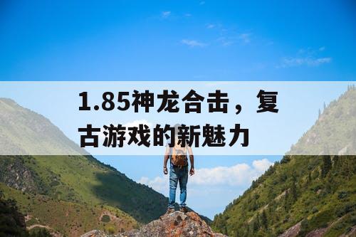 1.85神龙合击，复古游戏的新魅力