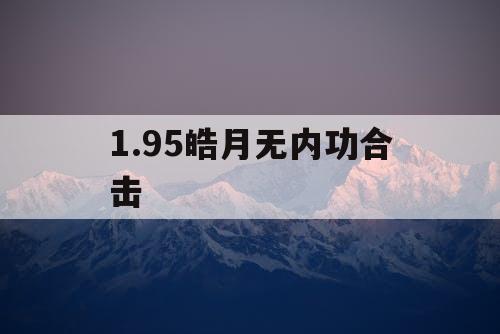 1.95皓月无内功合击
