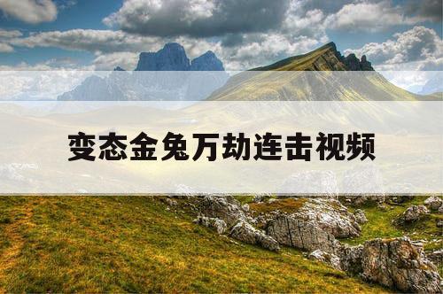 变态金兔万劫连击视频