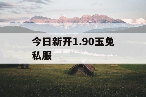 今日新开1.90玉兔私服