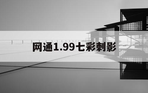网通1.99七彩刺影