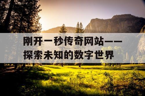 刚开一秒传奇网站——探索未知的数字世界