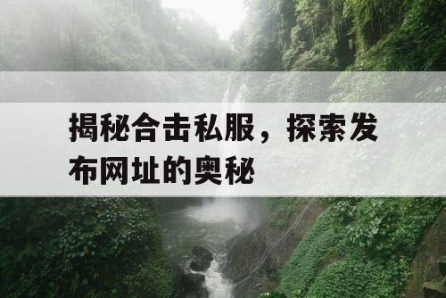 揭秘合击私服，探索发布网址的奥秘