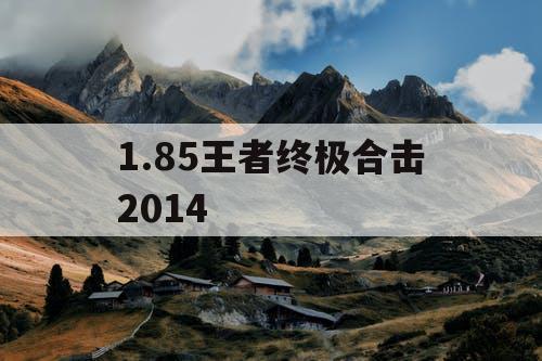 1.85王者终极合击2014