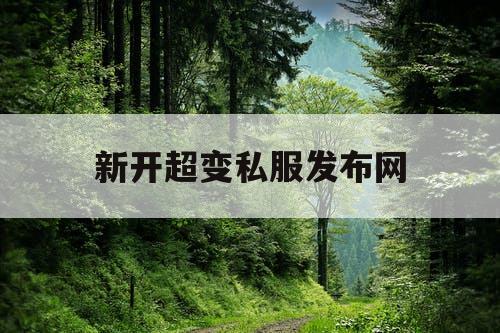 新开超变私服发布网