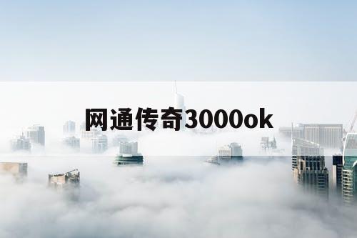 网通传奇3000ok