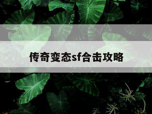 传奇变态sf合击攻略