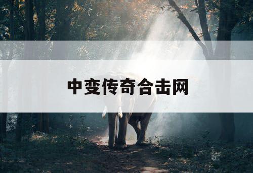 中变传奇合击网