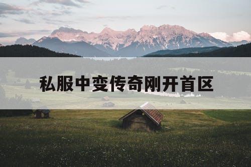 私服中变传奇刚开首区