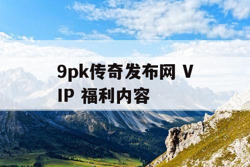 9pk传奇发布网 VIP 福利内容