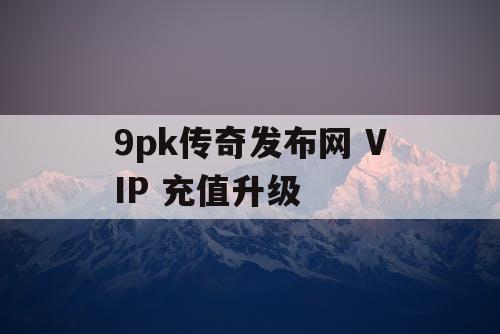 9pk传奇发布网 VIP 充值升级
