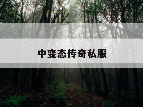 中变态传奇私服