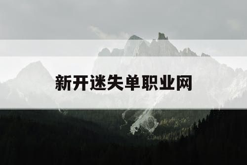 新开迷失单职业网