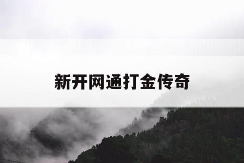 新开网通打金传奇