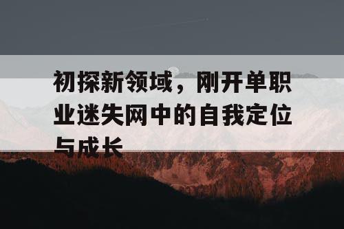 初探新领域，刚开单职业迷失网中的自我定位与成长