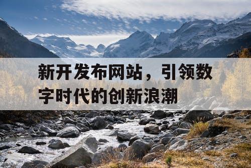 新开发布网站，引领数字时代的创新浪潮