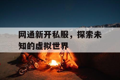 网通新开私服，探索未知的虚拟世界
