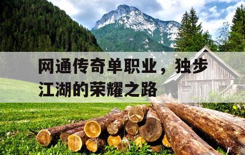 网通传奇单职业，独步江湖的荣耀之路