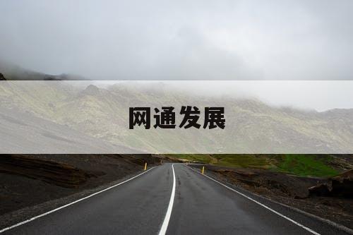 网通发展