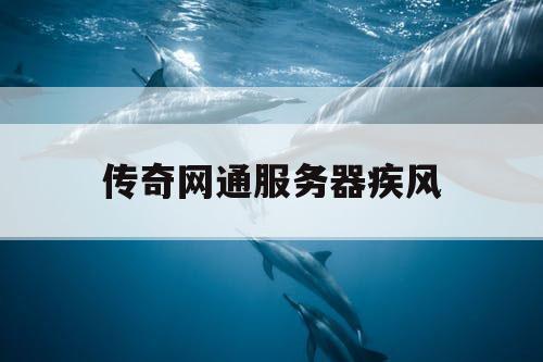 传奇网通服务器疾风