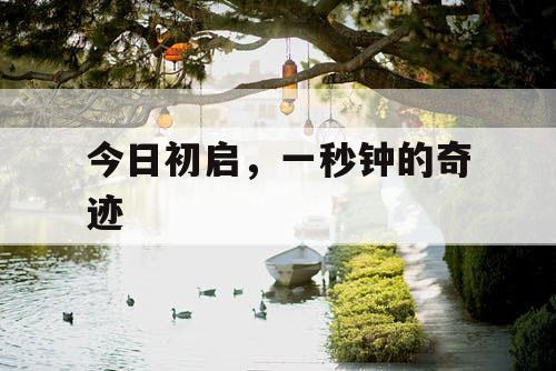 今日初启，一秒钟的奇迹