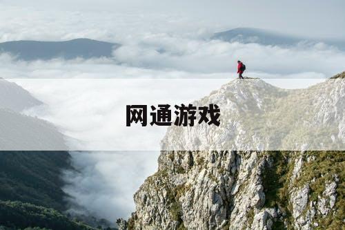 网通游戏