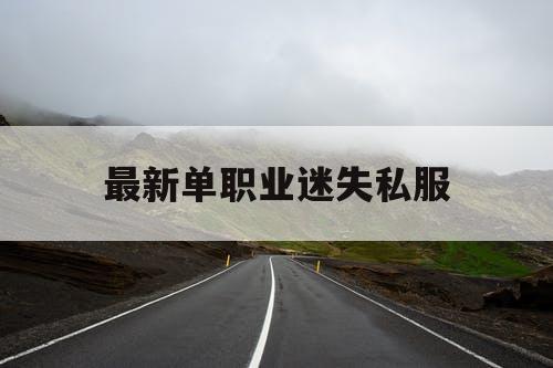 最新单职业迷失私服
