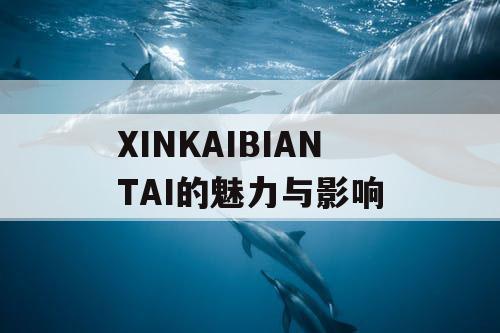 XINKAIBIANTAI的魅力与影响