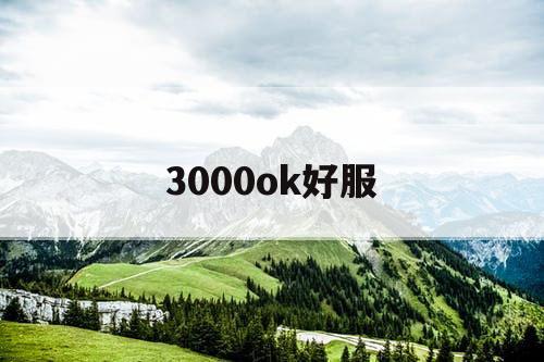 3000ok好服